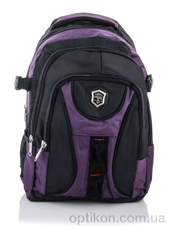 Рюкзак Back pack 015-1 violet