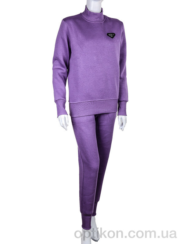 Спортивний костюм Ledi-Sharm 3041 violet